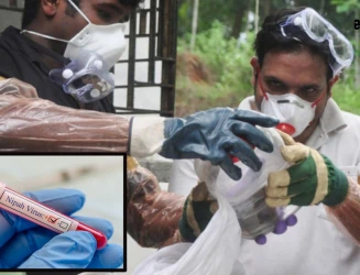 બંગાળમાં નિપાહ વાઈરસનો ખતરો વધ્યો: વધુ 3 કેસ નોંધાતા ફફડાટ, 120થી વધુ લોકો હોમ આઈસોલેશનમાં