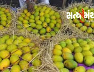 પોરબંદરમાં કેસર કેરીની છ મહિના વહેલી આવક, 10 કિલોના બોક્સનો ભાવ ₹14,500