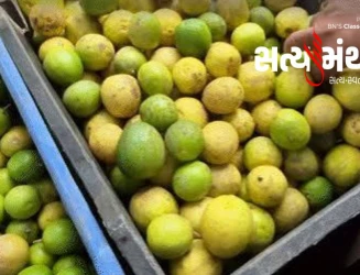 લીંબુના ભાવ આસમાને પહોંચીને કિલોના રૂ. ૩૦૦ સુધી થયા, દિવાળી સુધી રાહત નહીં