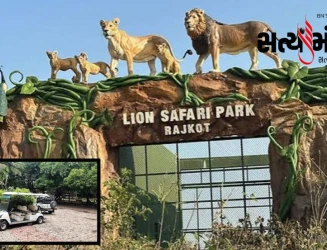 રાજકોટનો લાયન સફારી પાર્કનો પ્રોજેક્ટ ₹૨૪.૬૧ કરોડ પર પહોંચ્યો