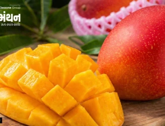 દુનિયાની સૌથી મોંઘી કેરી: મિયાઝાકી કેરી, જેના 1 કિલો માટે કાર કે લક્ઝુરિયસ બાઇક ખરીદી શકાય