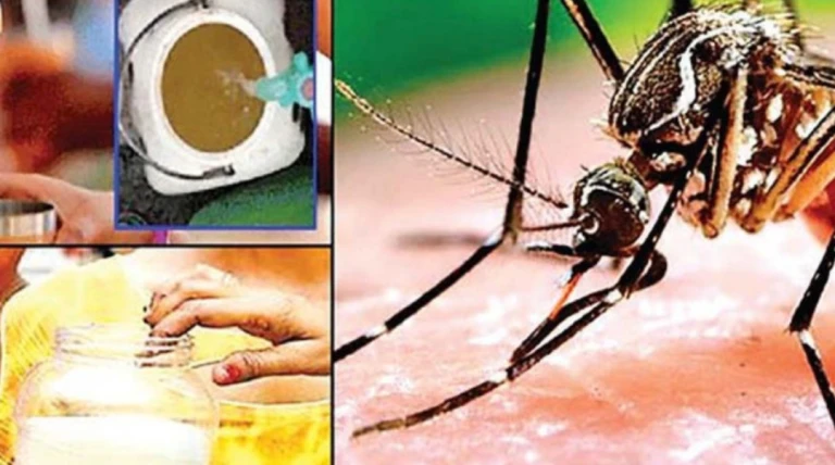 રાજકોટમાં રોગચાળાનો ભય: છેલ્લા અઠવાડિયામાં 2,100 કેસ નોંધાયા, મચ્છરજન્ય રોગો વધ્યા