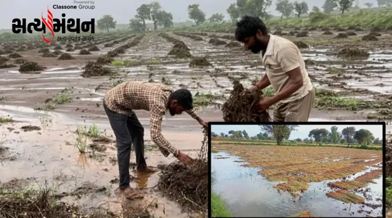 રાજ્યમાં માવઠાથી થયેલા નુકસાન પેટે 30.55 લાખ ખેડૂતોને રૂ. 8,740 કરોડની સહાય ચૂકવાઈ