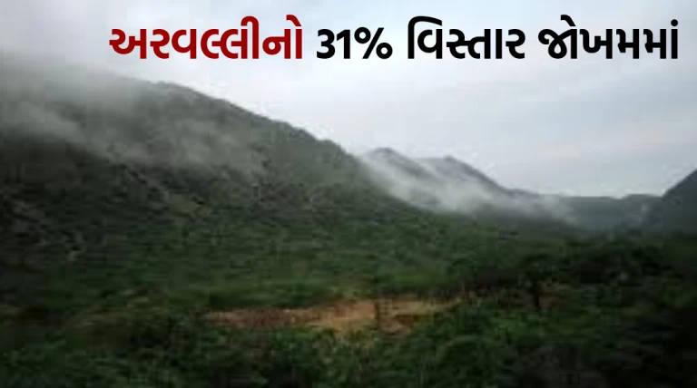 કેન્દ્રની 100 મીટર વ્યાખ્યાને પડકારતી સ્ટડી: અરવલ્લીનો 31 ટકા વિસ્તાર જોખમમાં, ભૂગર્ભ જળ સંગ્રહ પર ગંભીર ખતરો