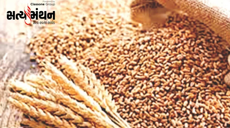 25 લાખ ટન નિકાસ છૂટ બાદ ઘઉંના ભાવમાં ઉછાળો, પ્રતિ મણ રૂ.600ને પાર પહોંચ્યા દર