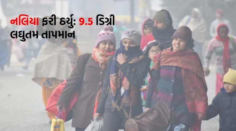 નલિયામાં ફરી સિંગલ ડિજીટ તાપમાન: 9.5 ડિગ્રી નોંધાઈ, સૌરાષ્ટ્રમાં ઠંડીની અસર વધતી જતી