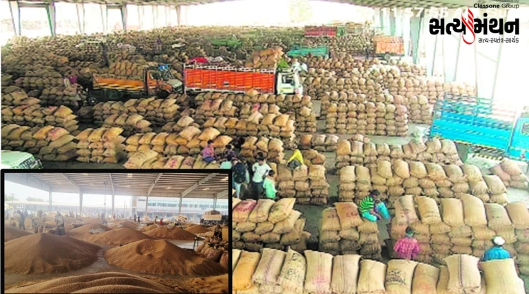 ગોંડલ માર્કેટિંગ યાર્ડમાં નવા ઘઉંની રેકોર્ડ આવક: 30 હજાર ગુણી પહોંચતા યાર્ડ છલકાયું, ખેડૂતોને સારા ભાવ