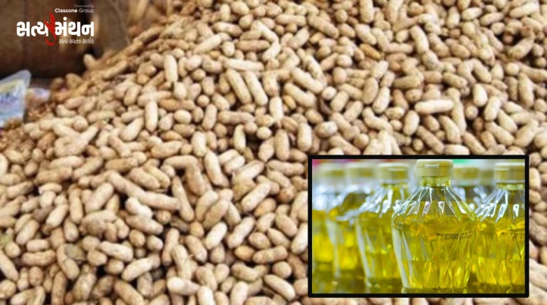 સરકારે મગફળી વેચતા સીંગતેલ ઘટ્યું, રાજકોટ બજારમાં કપાસિયા-પામોલીન સહિત સાઇડ તેલોમાં તેજી