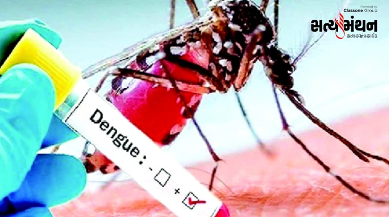 રાજકોટમાં અઠવાડિયામાં ડેન્ગ્યુ-મેલેરિયાનો એક-એક કેસ, વાયરલ રોગોના 1935 દર્દી, 175 આસામીને નોટિસ મચ્છર ઉત્પત્તિ સબબ કાર્યવાહી શરૂ