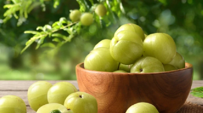 આમળા ખાવાના અદ્ભુત 5 ફાયદા: હૃદયને સ્વસ્થ રાખવાથી લઈને ત્વચાને તેજસ્વી અને વાળને મજબૂત બનાવવા સુધીનું કુદરતી સુપરફૂડ