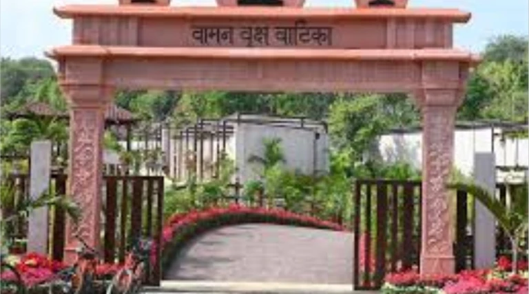 રાજકોટના આર્કિટેક્ટનો ગૌરવ: સ્ટેચ્યુ ઓફ યુનિટી ખાતે એશિયાનું સૌથી મોટું બોન્સાઈ વન ‘વામન વૃક્ષ વાટિકા’નું લોકાર્પણ