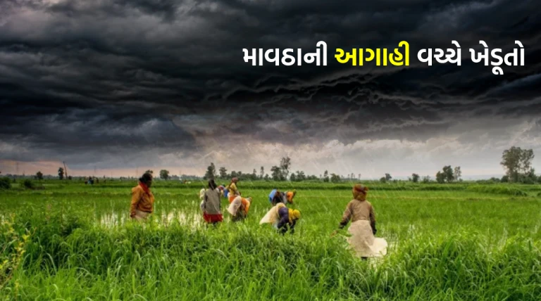ખેડૂતો સાવધાન! માવઠાની આગાહી બાદ સરકાર એક્શન મોડમાં, પાક સુરક્ષા માટે નવી મહત્વપૂર્ણ માર્ગદર્શિકા જાહેર