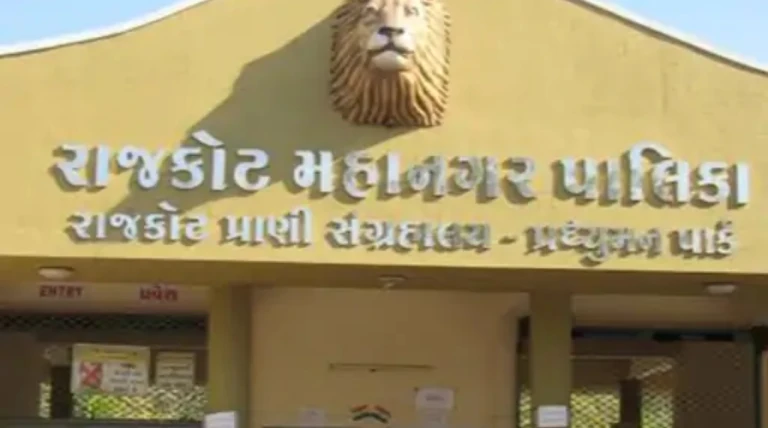 રાજકોટ મનપાની સ્ટેન્ડિંગ બેઠકમાં મોટા નિર્ણયો: પ્રદ્યુમ્ન પાર્ક ઝૂ ફીમાં વધારો, લાયન સફારી દર નક્કી અને પેડક રોડ ગૌરવપથ યોજના
