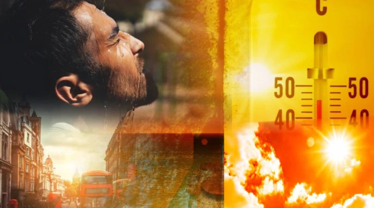 ગ્લોબલ વોર્મિંગની અસરથી રાજકોટમાં સતત બે વર્ષ ડિસેમ્બરમાં પણ 36 ડિગ્રી સાથે ઉનાળાનો અહેસાસ