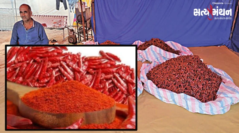 લાલ મરચામાં લાલચોળ આગ: ઓછી ઉપજના અંદાજ વચ્ચે ભાવ બમણાં, રસોડાના બજેટ પર અસર