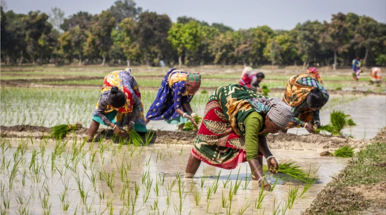 ભારતમાં મહિલા ખેડુતોનો વધતો પ્રવાહ: ગુજરાત સહિત દેશભરમાં મહિલાઓની આગવી સિદ્ધિઓ