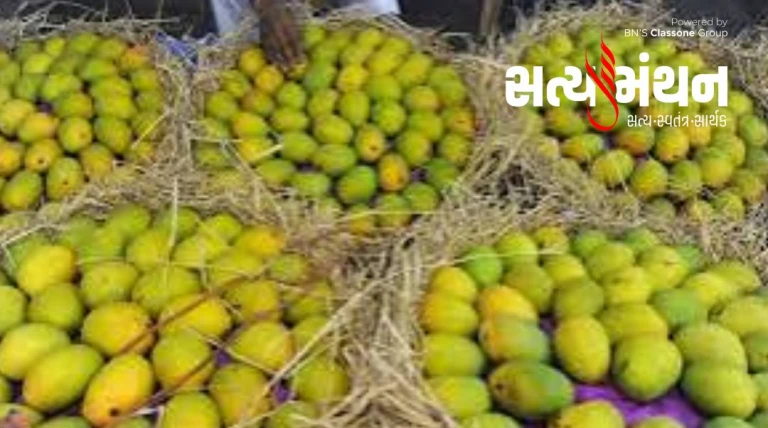 પોરબંદરમાં કેસર કેરીની છ મહિના વહેલી આવક, 10 કિલોના બોક્સનો ભાવ ₹14,500