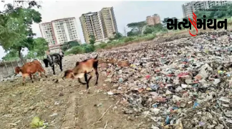 રાજકોટના કાંગશિયાળી ચોકડી નજીક બિલ્ડિંગો વચ્ચે જ કચરાના ડુંગરો ખડકાયા