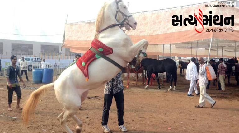 હોર્સ ટ્રેડિંગના ભયથી ભાજપ સહિત તમામ પાર્ટીએ ગોઠવ્યો તખ્તો