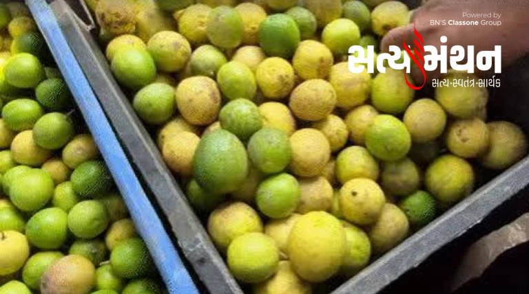 લીંબુના ભાવ આસમાને પહોંચીને કિલોના રૂ. ૩૦૦ સુધી થયા, દિવાળી સુધી રાહત નહીં