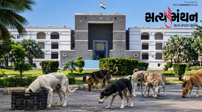 શ્વાન નિયંત્રણ ડેટા મુદ્દે ગુજરાત સરકારના અધૂરા એફિડેવિટ સામે હાઈકોર્ટના તીખા સવાલો