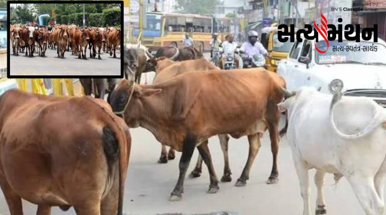 નેશનલ હાઈવે પર ઢોર રખડતા પકડાશે તો પશુ માલિકોને જબ્બર દંડ ફટકારાશે