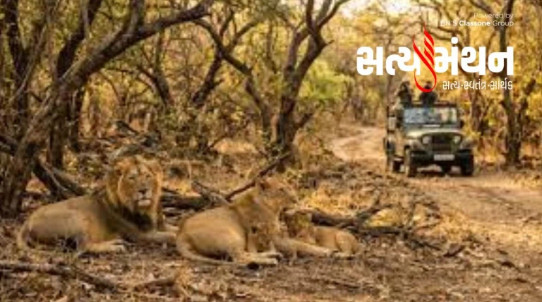 ચોમાસાના વિરામ બાદ આવતી કાલથી ગીર સફારીનો પ્રારંભપેટા